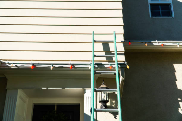Best Custom Trim and Detailing for Siding  in Cashton, WI
