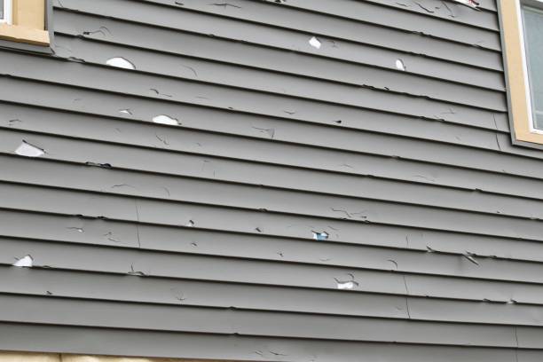 Best Steel Siding Installation  in Cashton, WI