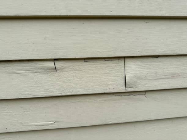 Best Historical Building Siding Restoration  in Cashton, WI