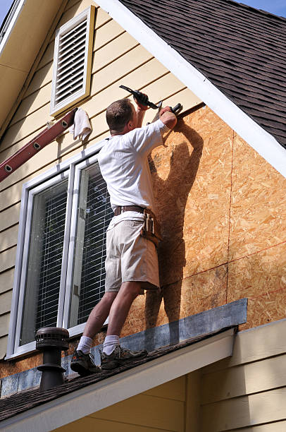 Best Siding Painting and Refinishing  in Cashton, WI